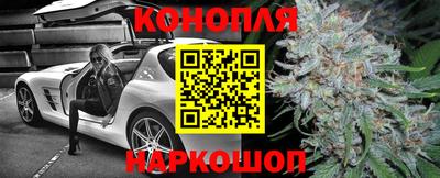 тгк Новокубанск