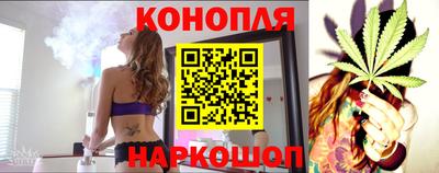 стафф Новозыбков