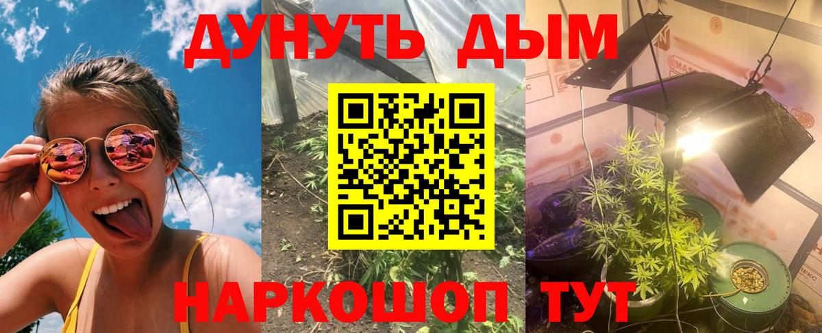 Марихуана тримм  Шишки марихуана сатива  Вход с VPN  Татарск 